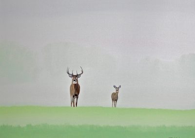 Deer in Mist