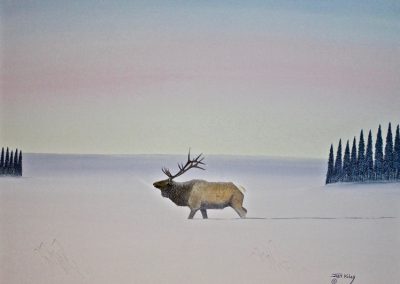 Elk in Winter Lake